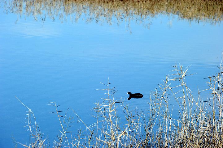 1Saline di Priolo 16.1.2011 (78).jpg